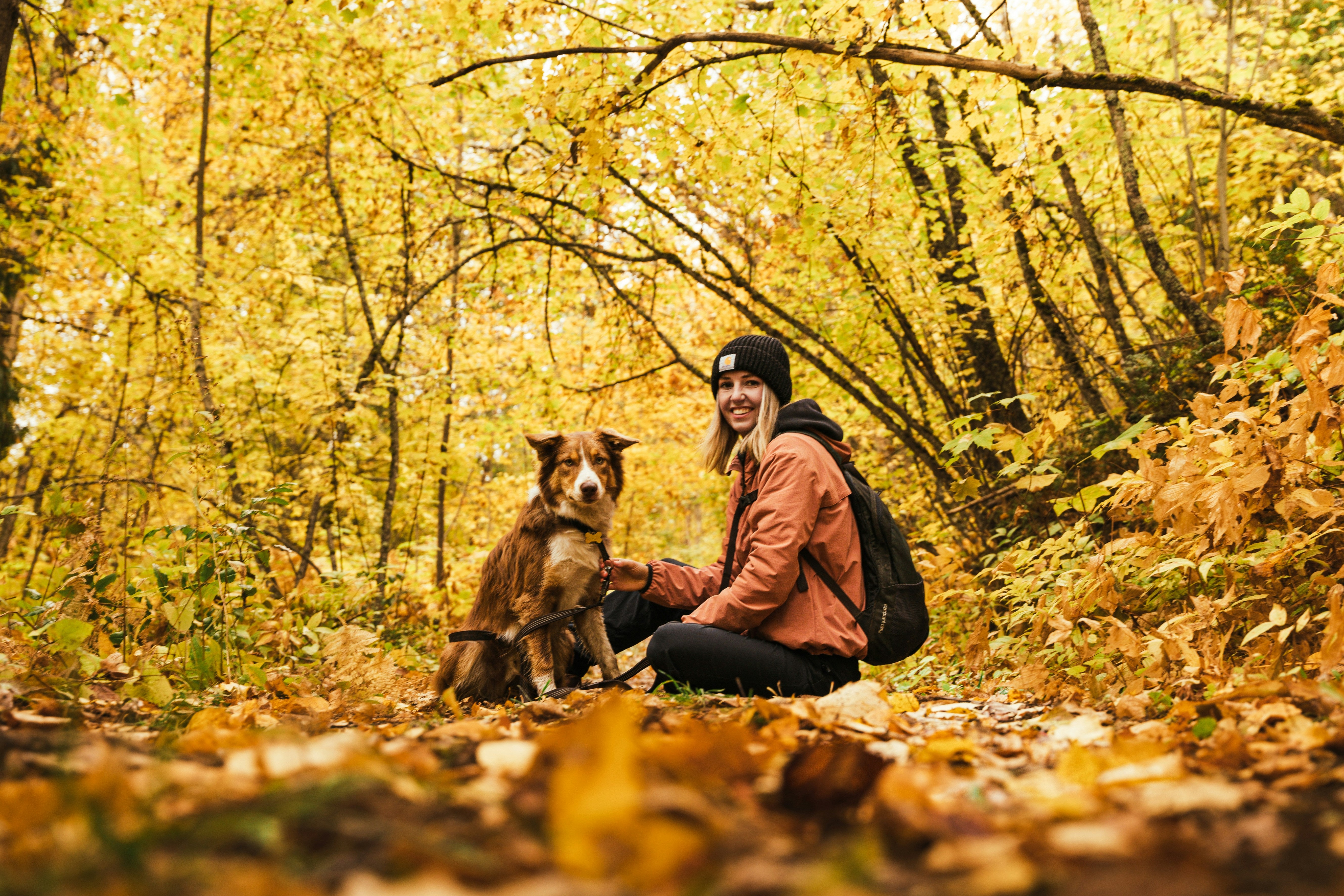 Woman with a backpack beside her dog on a woodland trail surrounded by golden autumn leaves.