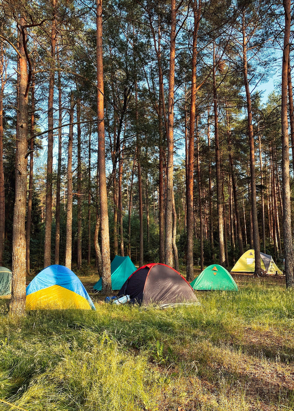 Tents