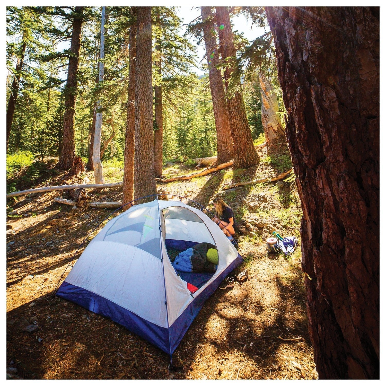 ALPS Mountaineering Lynx 2-Person Tent