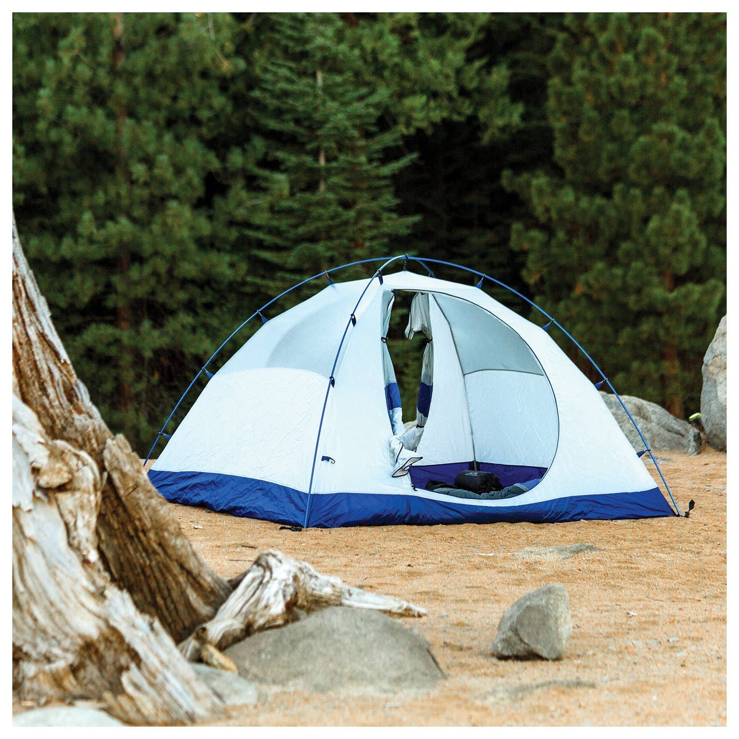 ALPS Mountaineering Lynx 2-Person Tent