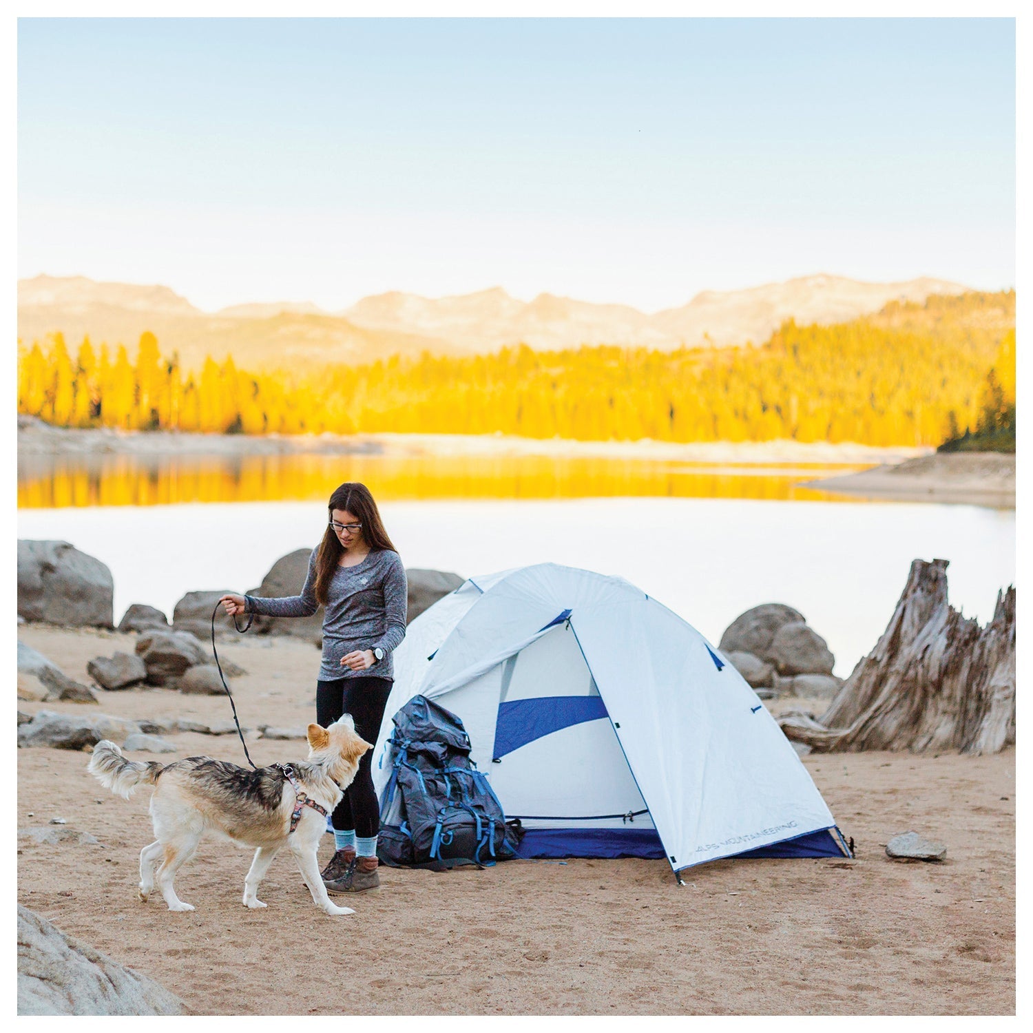 ALPS Mountaineering Lynx 2-Person Tent