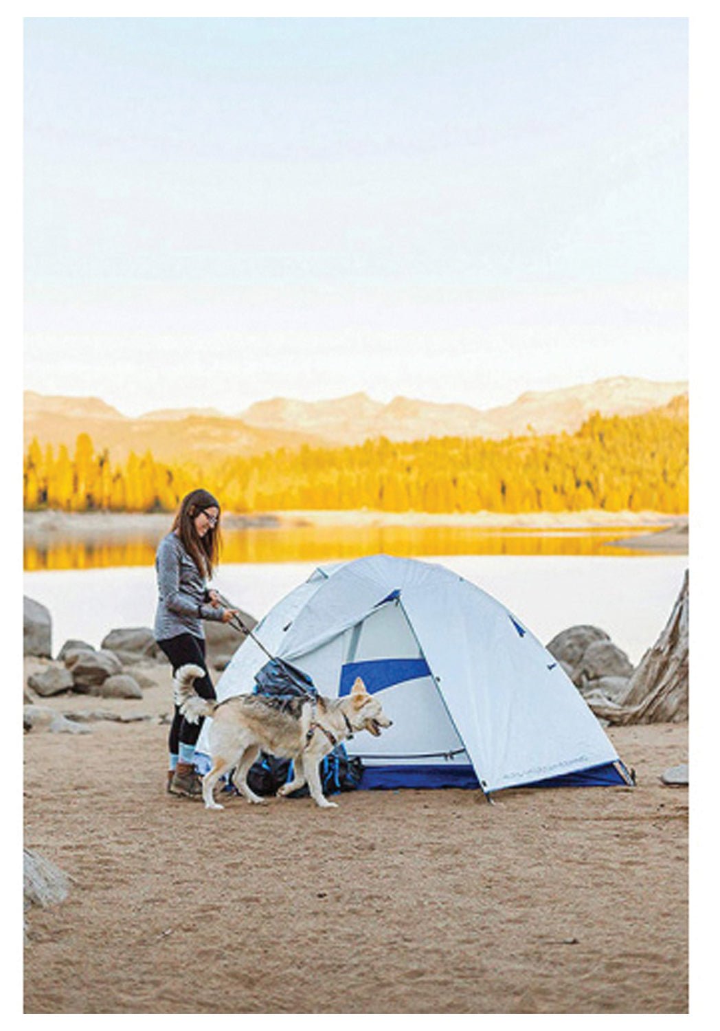 ALPS Mountaineering Lynx 3-Person Tent