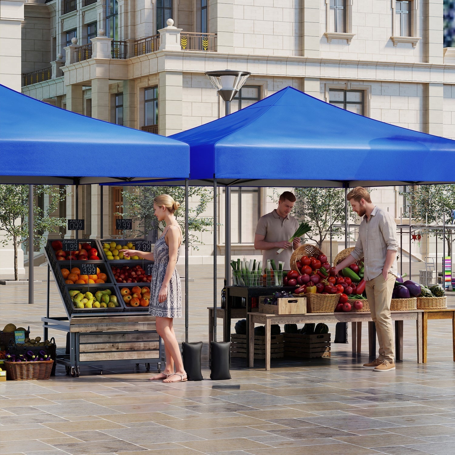 9.5' x 9.5' Pop-Up Canopy Tent with Adjustable Height