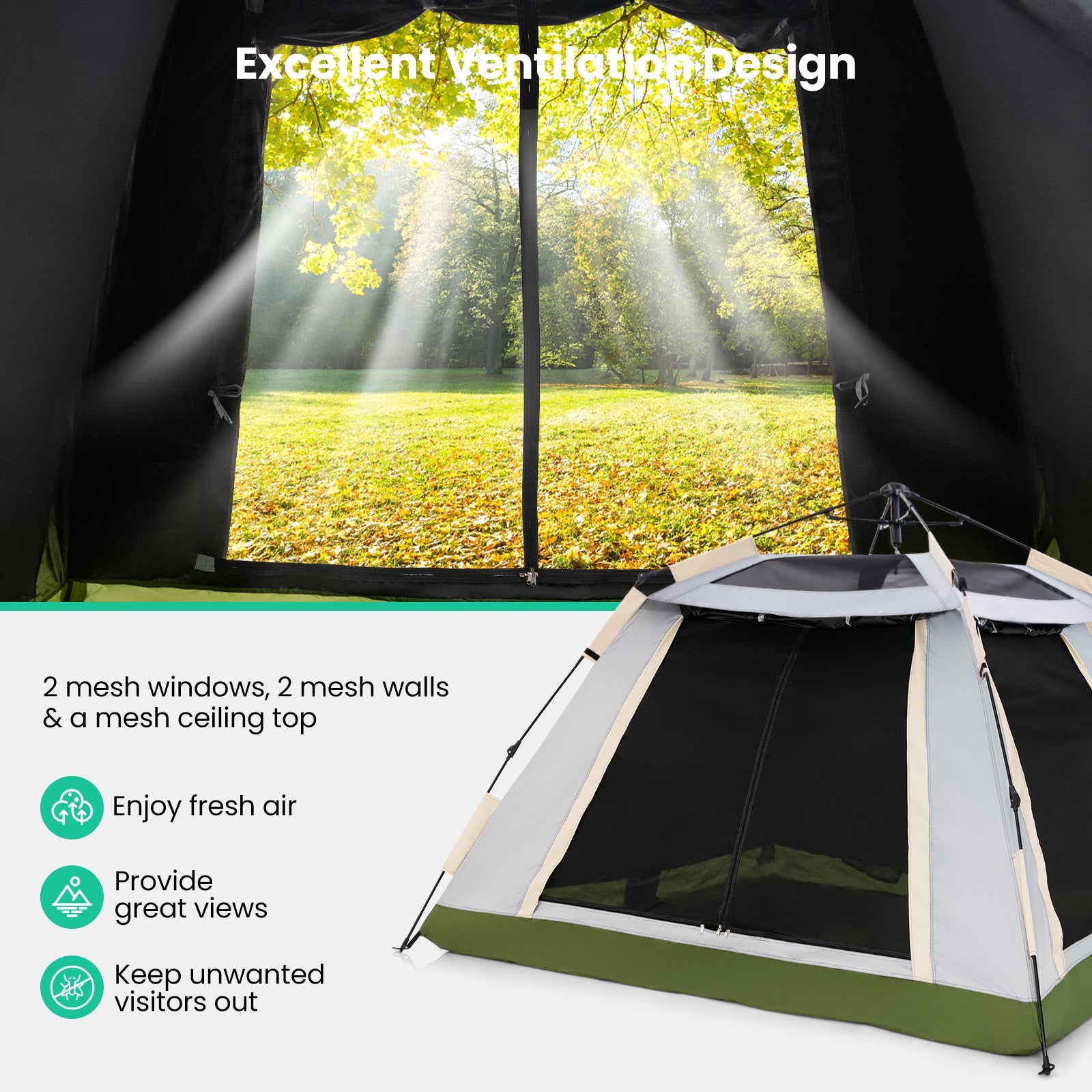 Pop-up with Removable Rainfly