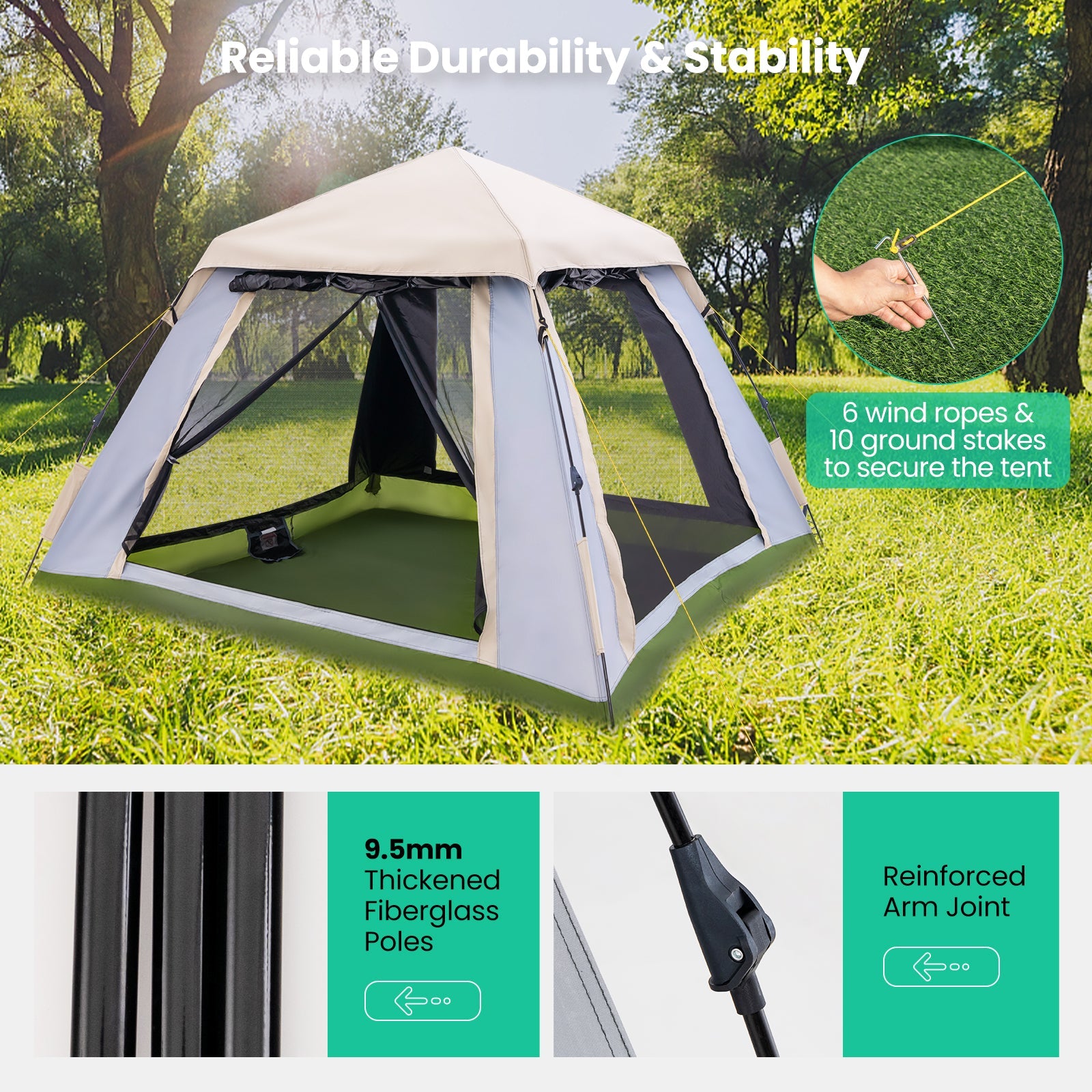 Pop-up with Removable Rainfly