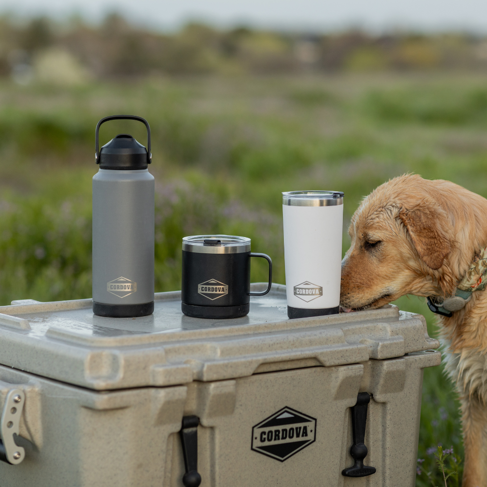 Adventure Drinkware Bundle: Bottle, Camp Mug & Tumbler