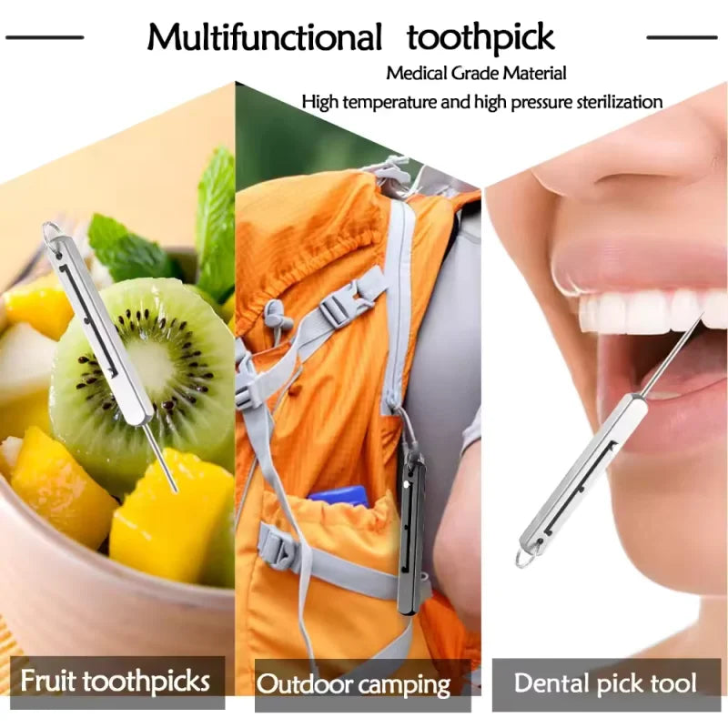 Portable Titanium Toothpick with Holder