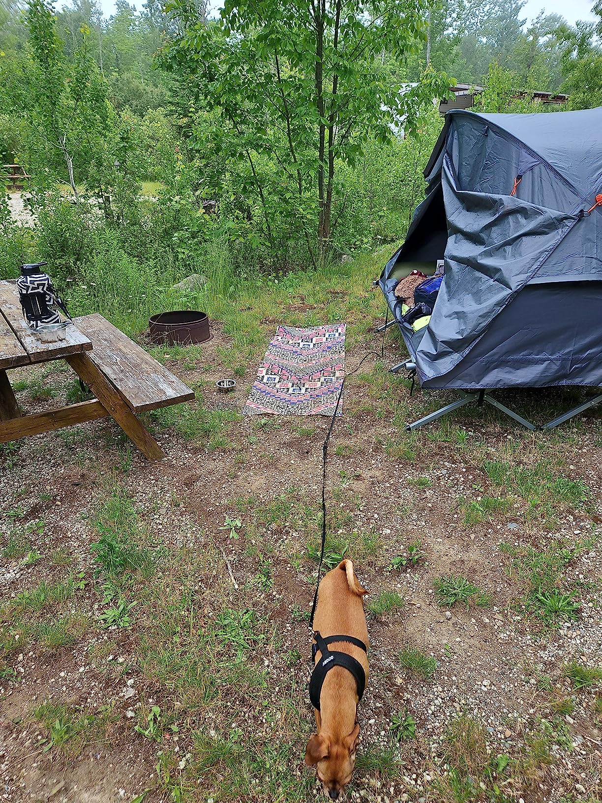 Foldable Tent Cot with Air Mattress & Sleeping Bag