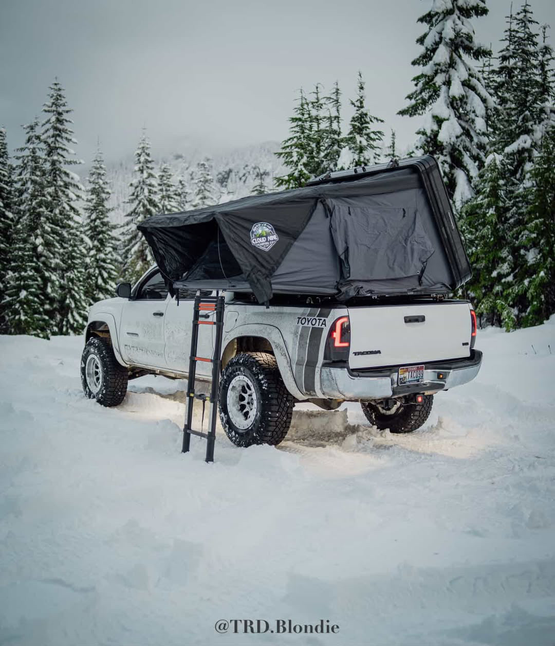 Cloud Nine Cumulus Hard Shell Roof Top Tent – Queen & King Sizes | Stargazer Window & LED Light